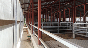 ふなもと設計_設計